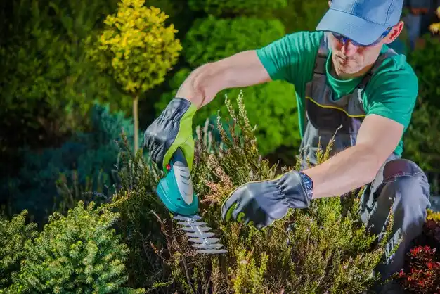 landscaping services Angola